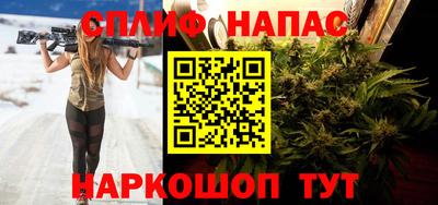 spice Гусев