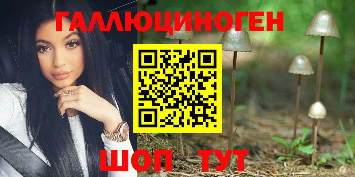 Псилоцибиновые грибы Psilocybine cubensis  Вход с VPN  Нижний Тагил 
